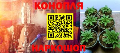 сатива Кунгур