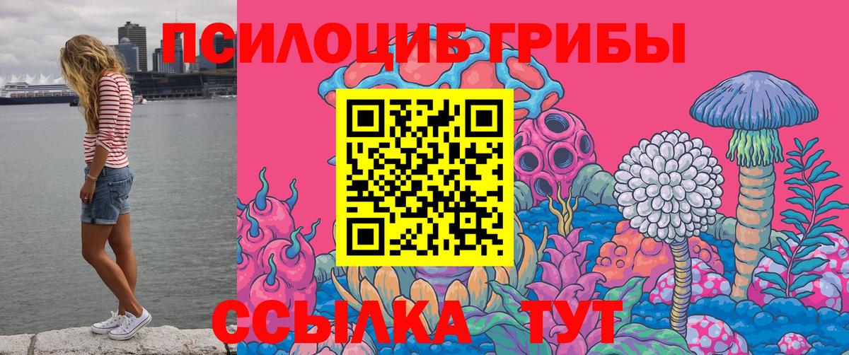 Балтийск  Галлюциногенные грибы прущие грибы  Вход с VPN 